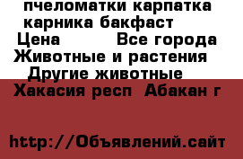 пчеломатки карпатка карника бакфаст F-1 › Цена ­ 800 - Все города Животные и растения » Другие животные   . Хакасия респ.,Абакан г.